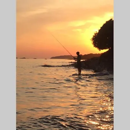 Apartment Viva 2 Rovinj