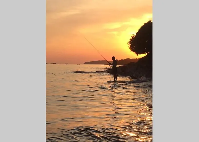 Διαμέρισμα Viva 2 Ρόβινι